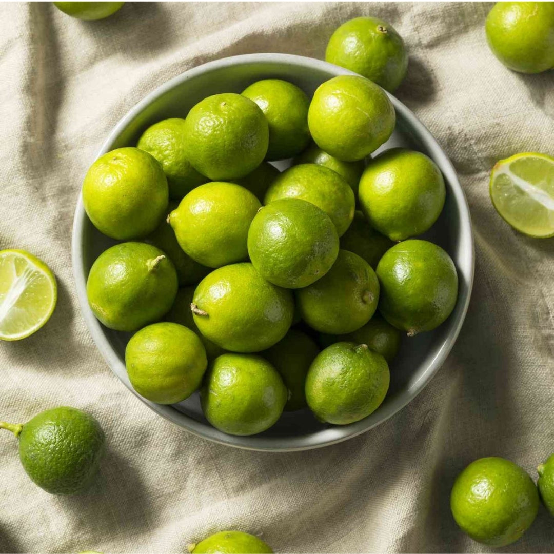 Mexican Key Lime-Tissue Culture Plants (Citrus x Limon)