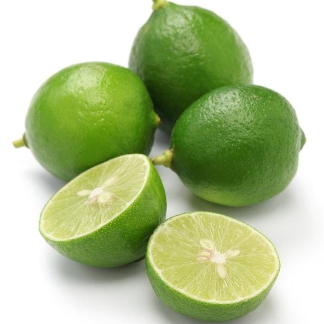 Mexican Key Lime-Tissue Culture Plants (Citrus x Limon)