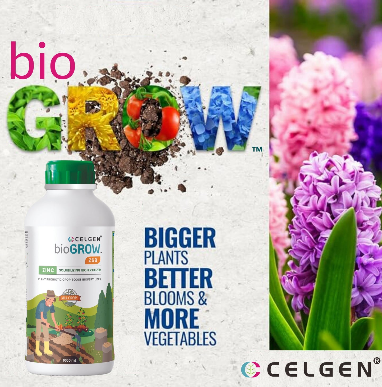 Celgen-bioGROW ZSB(ZINC) Liquid Plant Nutrient Booster
