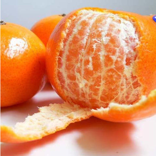 KinnowLS Mandarin - Citrus Reticulata ‘KinnowLS’