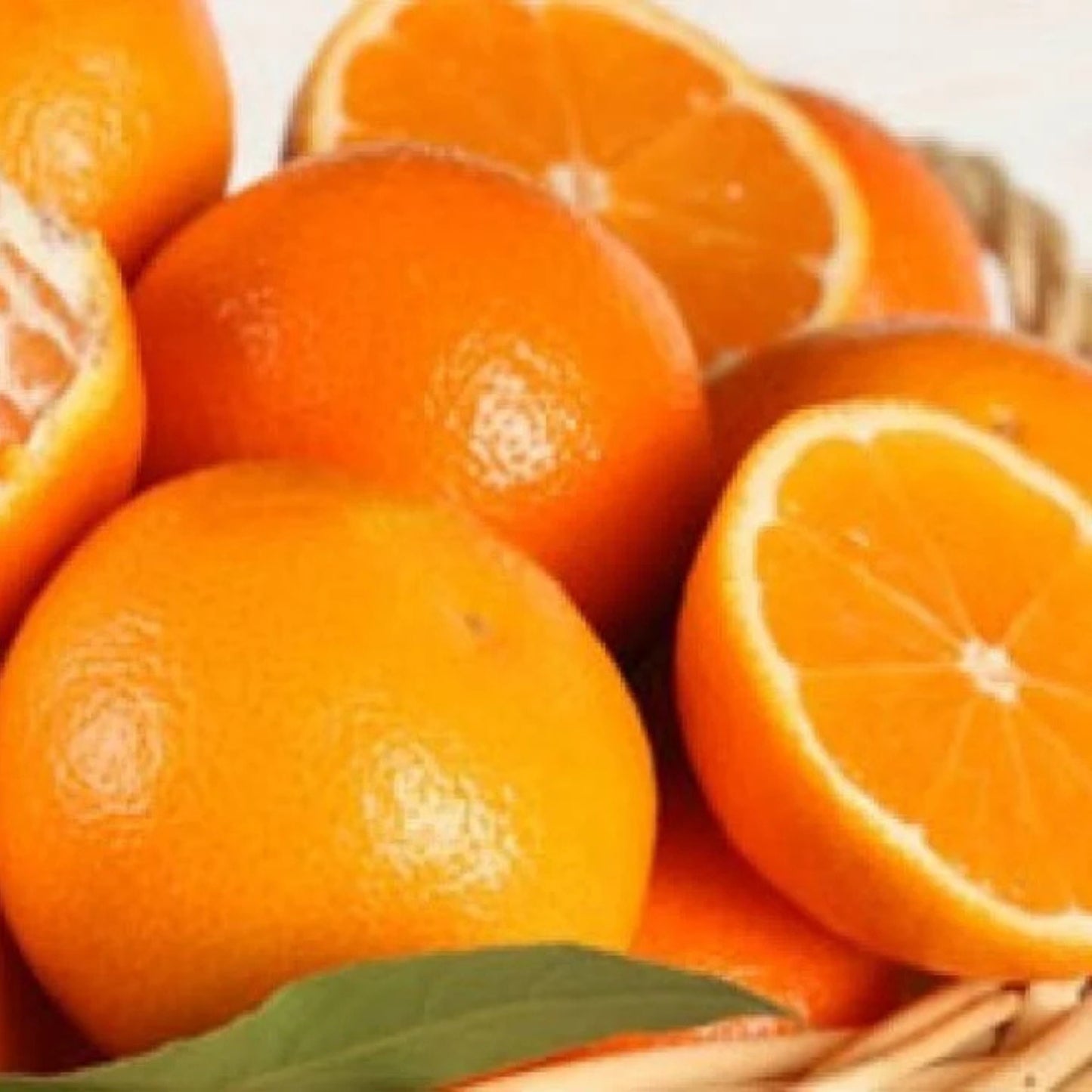 KinnowLS Mandarin - Citrus Reticulata ‘KinnowLS’