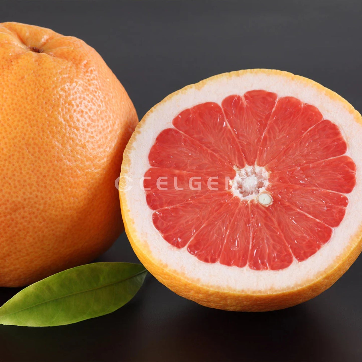 Ray Ruby Grapefruit Tree – Citrus × paradisi ‘Ray Ruby’