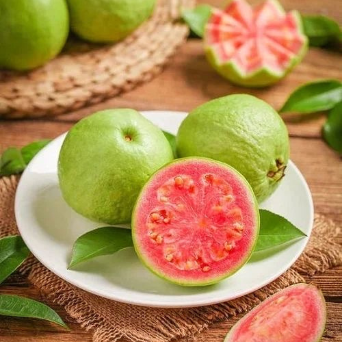 Guava Taiwan Pink Tissue Culture Plants"Psidium Guajava"