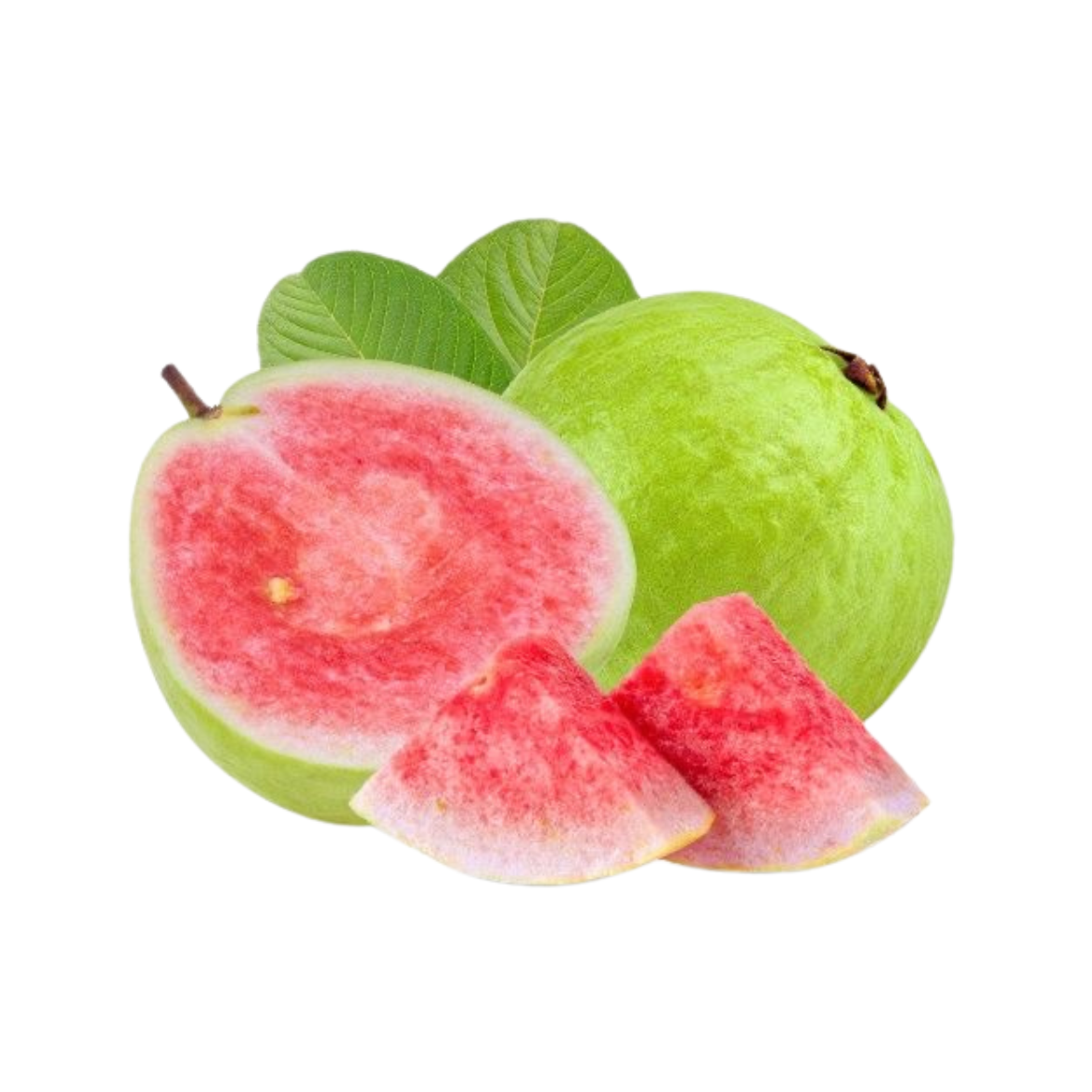 Guava Red Diamond Plant (Grafted on Tissue Culture Rootstock) "Psidium Guajava"