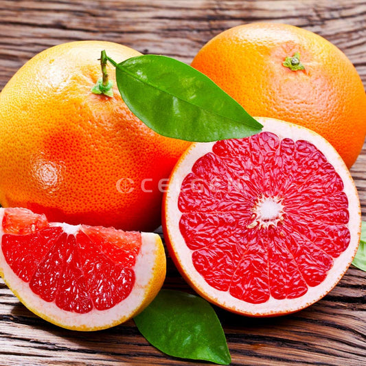 Rio Red Grapefruit Tree – Citrus × paradisi ‘Rio Red’