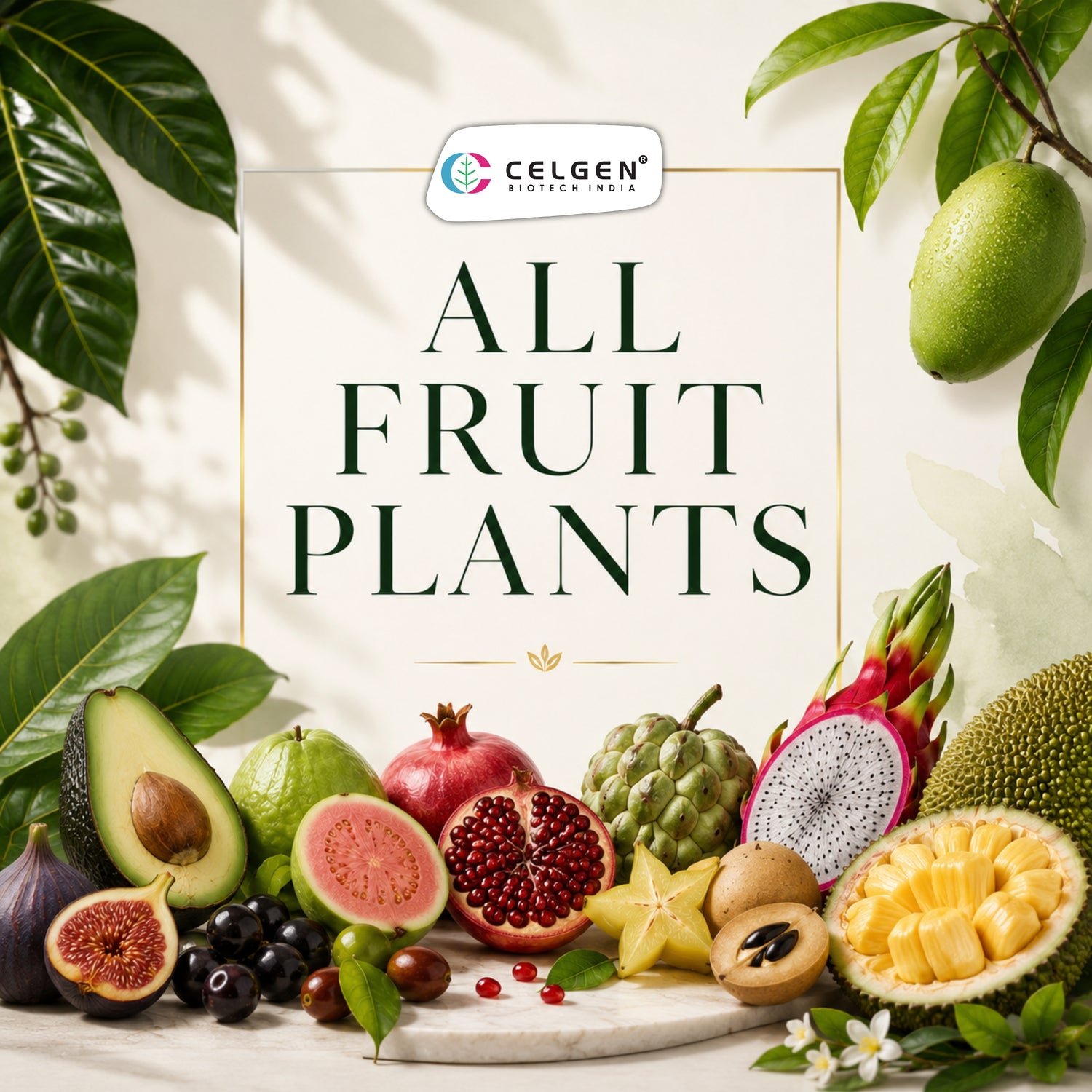 All Fruit Plants
