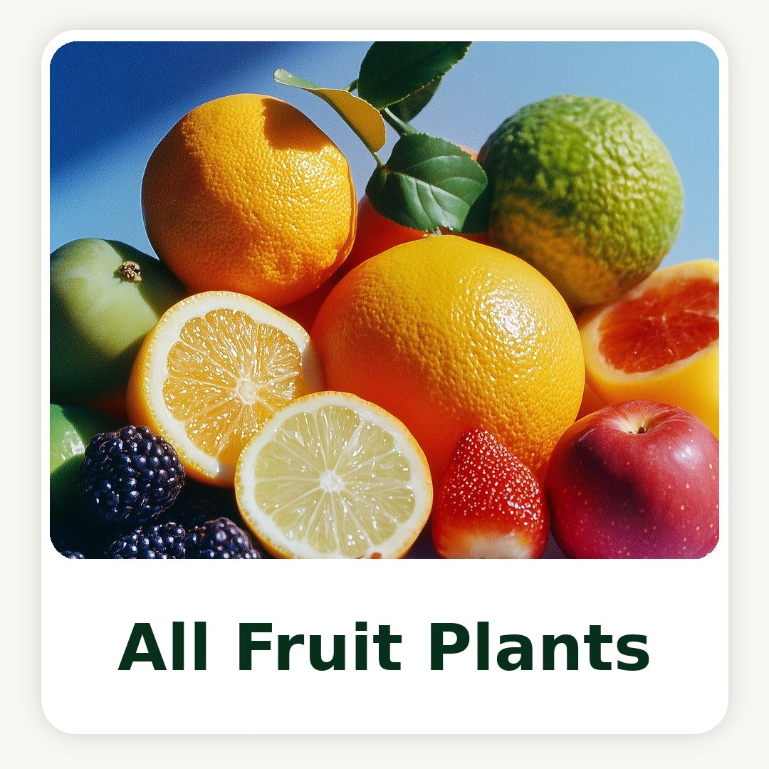 All Fruit Plants