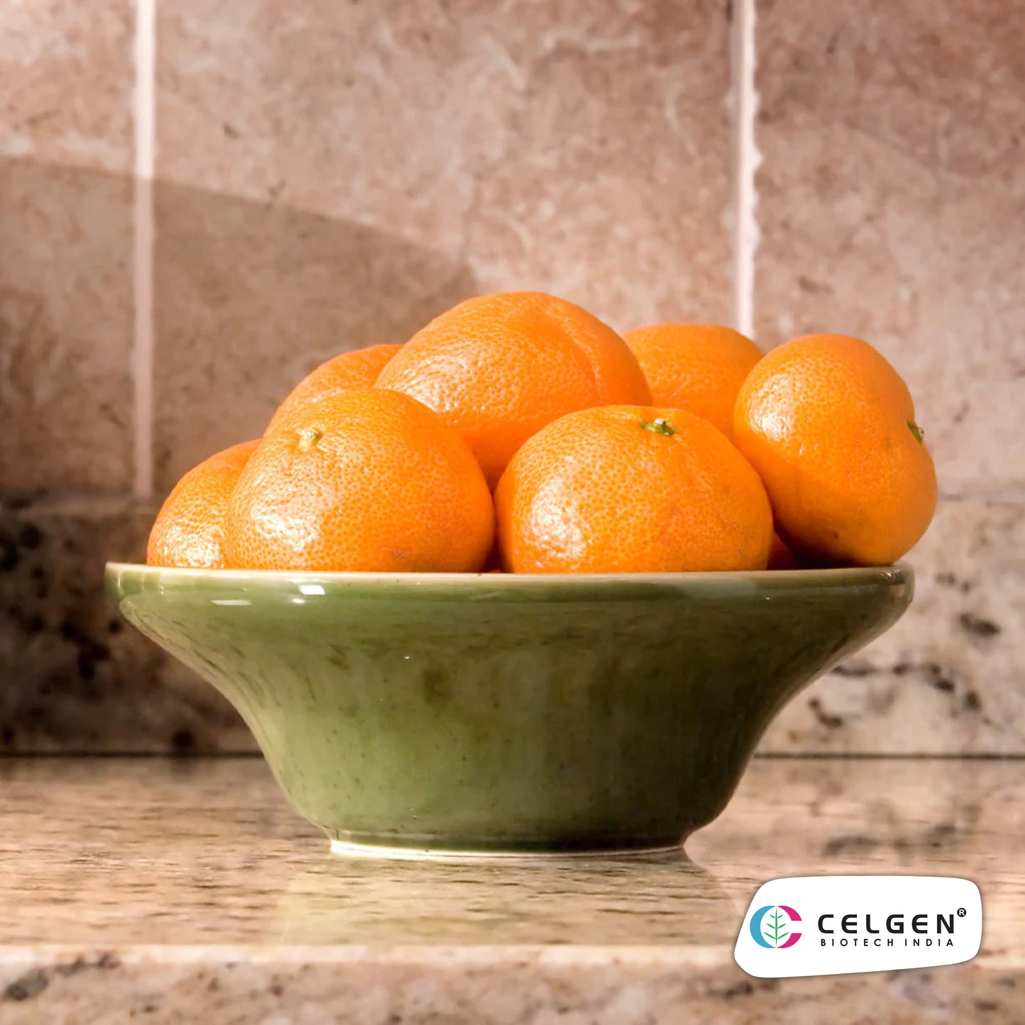 Calamondin Orange Plant (Calamansi) | Dwarf Citrus for Pots | CELGEN