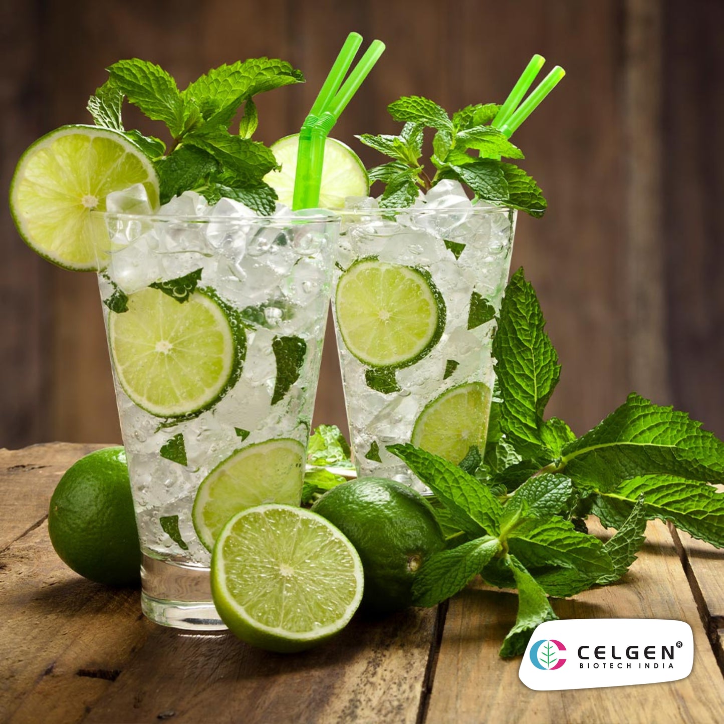 Persian (Tahitian) Lime Plant | Seedless Lime Variety | CELGEN